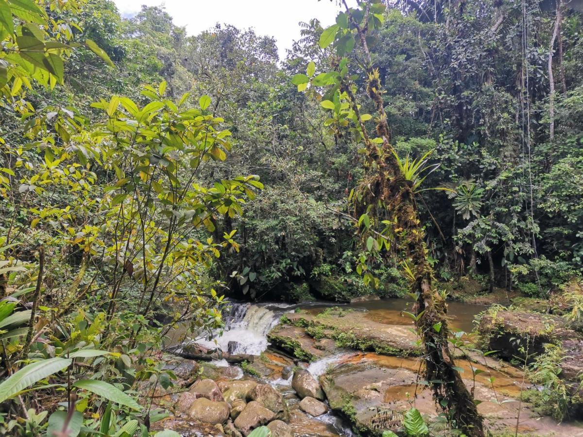 Posada Kauai Мокоа Экстерьер фото